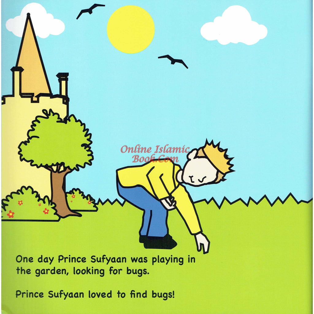 Allah Our Creator (Mr Ant Series) By Shomsia Ali - Online Islamic Book