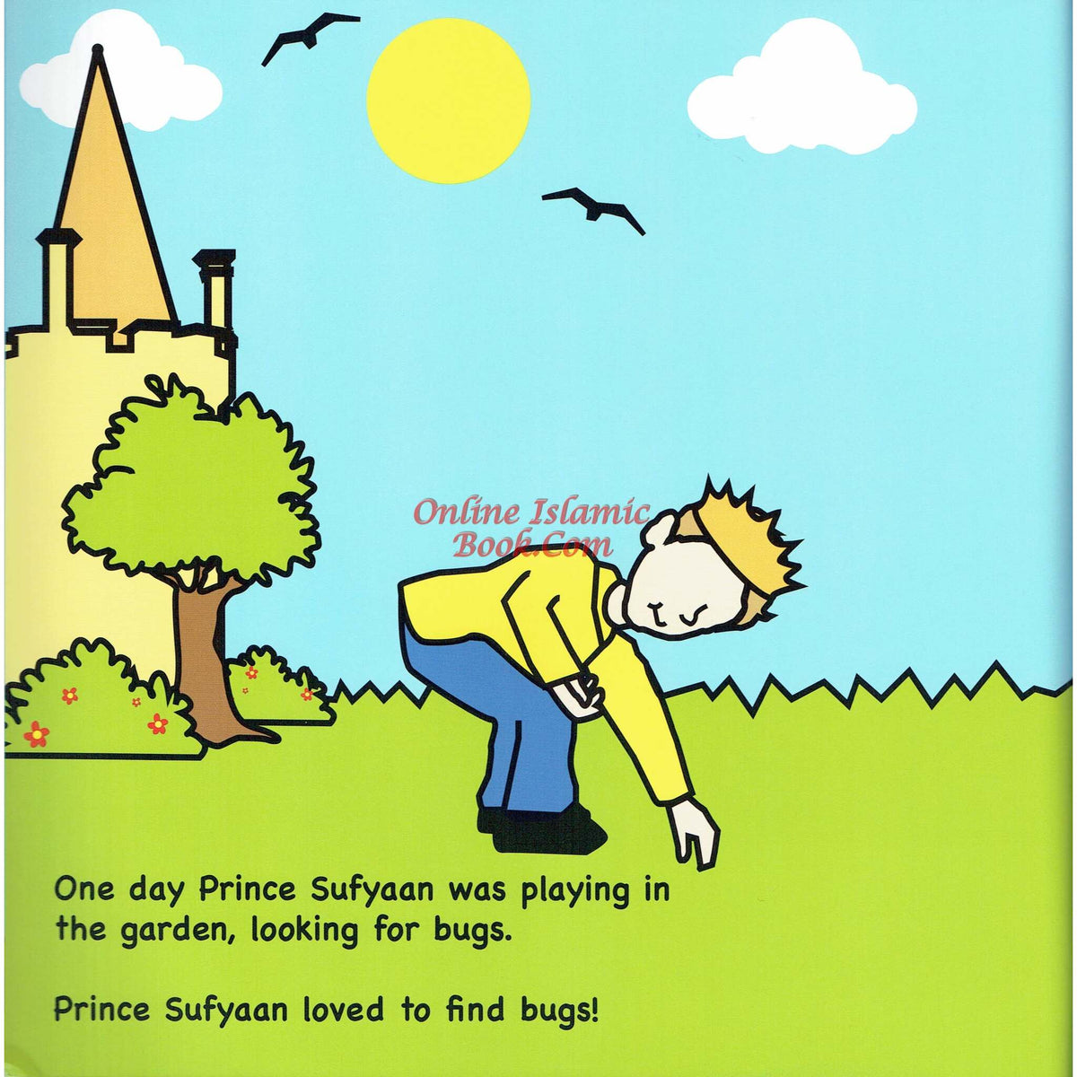 Allah Our Creator (Mr Ant Series) By Shomsia Ali - Online Islamic Book