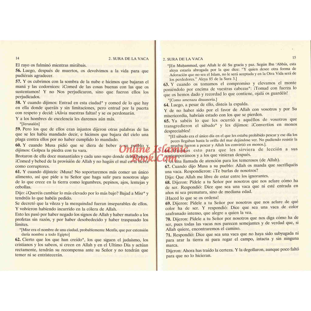 Del Noble Coran (Traduccion Comentario) (Spanish Quran)
ISBN: 9782987468431