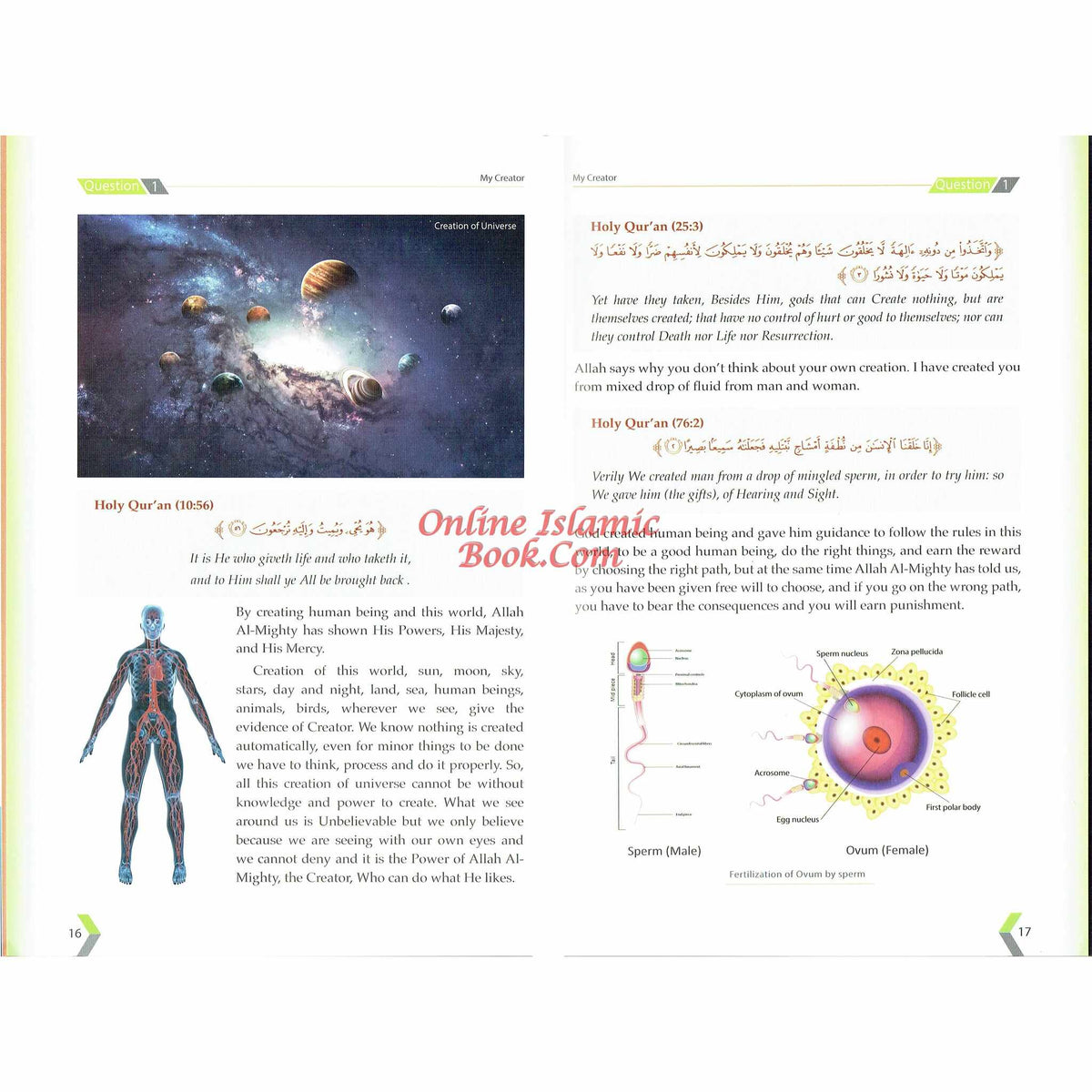 My Creator by Dr. Zahoor Ali Shaikh
ISBN: 9786035004305