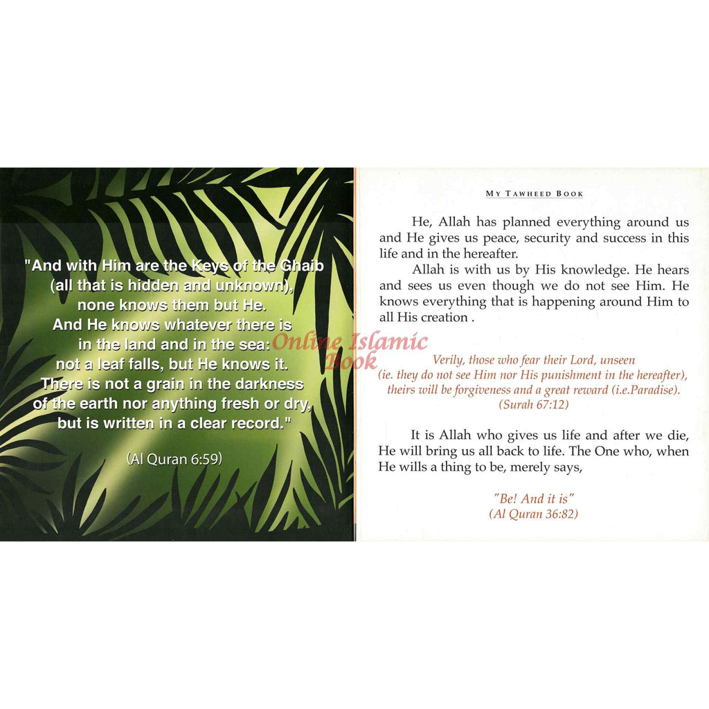 My Tawheed Book by Darussalam,9789960995694