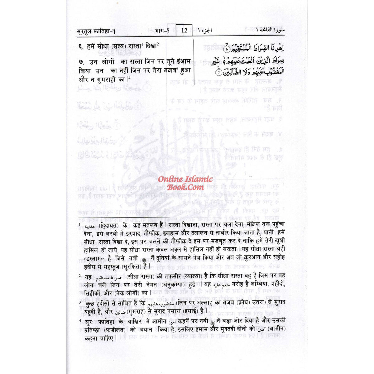 Quran In Hindi Language Arabic To Hindi Translation with Tafseer By Saif ur Rehman Mubarikpuri