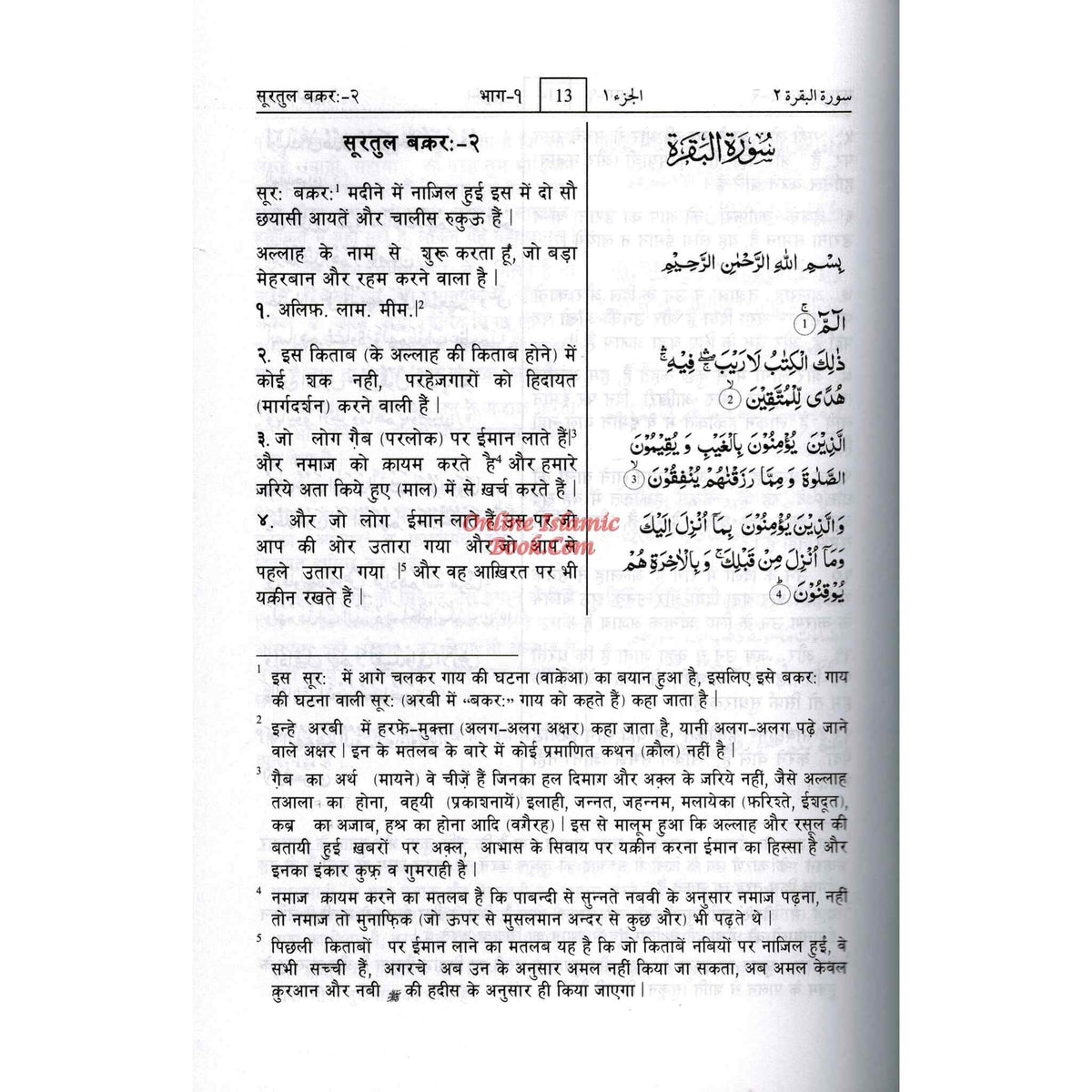 Quran In Hindi Language Arabic To Hindi Translation with Tafseer By Saif ur Rehman Mubarikpuri