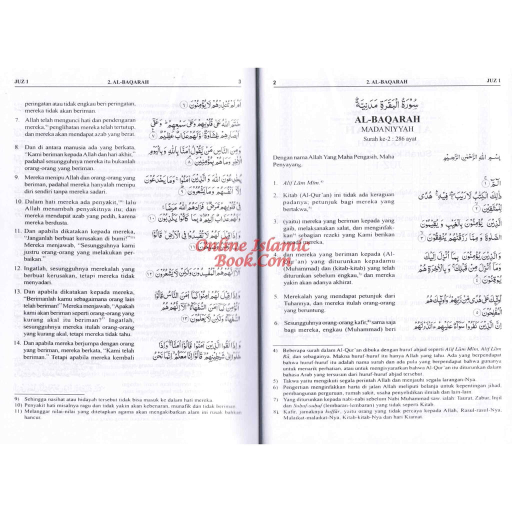 Quran In Indonesian Language Al Quran Dan Terjemahnya Arabic To Indonesian Language
ISBN: 9782987459811