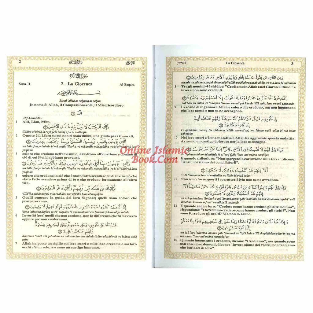 Quran In Italian Language Translation in Italian,Transliteration In English IL Sacro Corano e la traduzione in lingua italiana del senso dei suoi versetti