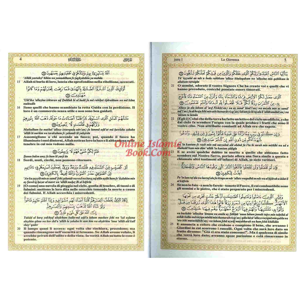 Quran In Italian Language Translation in Italian,Transliteration In English IL Sacro Corano e la traduzione in lingua italiana del senso dei suoi versetti
