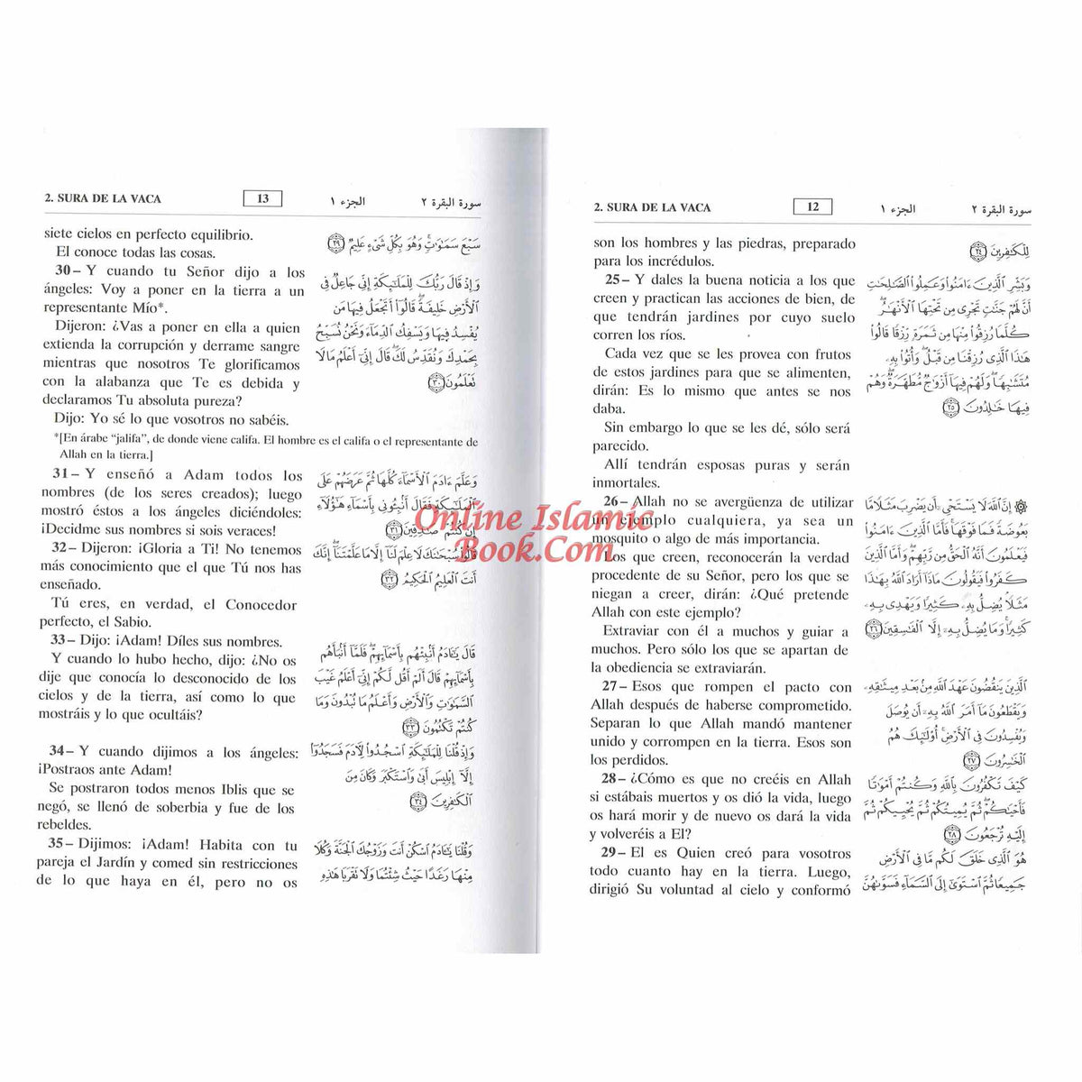Quran In Spanish Language Del Noble Coran Arabic To Spanish Translation By Abdel Ghani Melara Navio