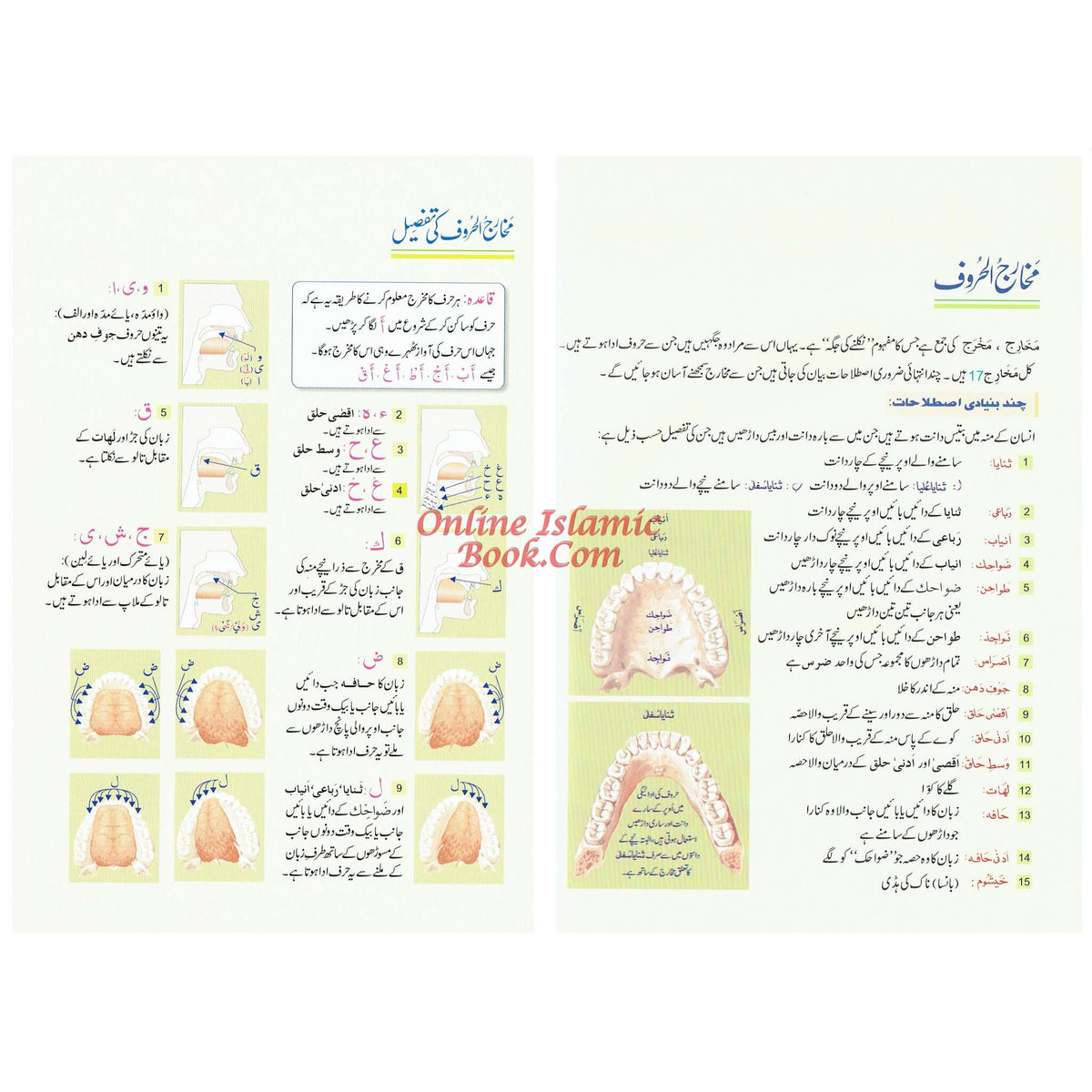 Qurani Qaida Or Noorani Qaida Urdu Language By Muhammad Idris
ISBN: 9786035000246
