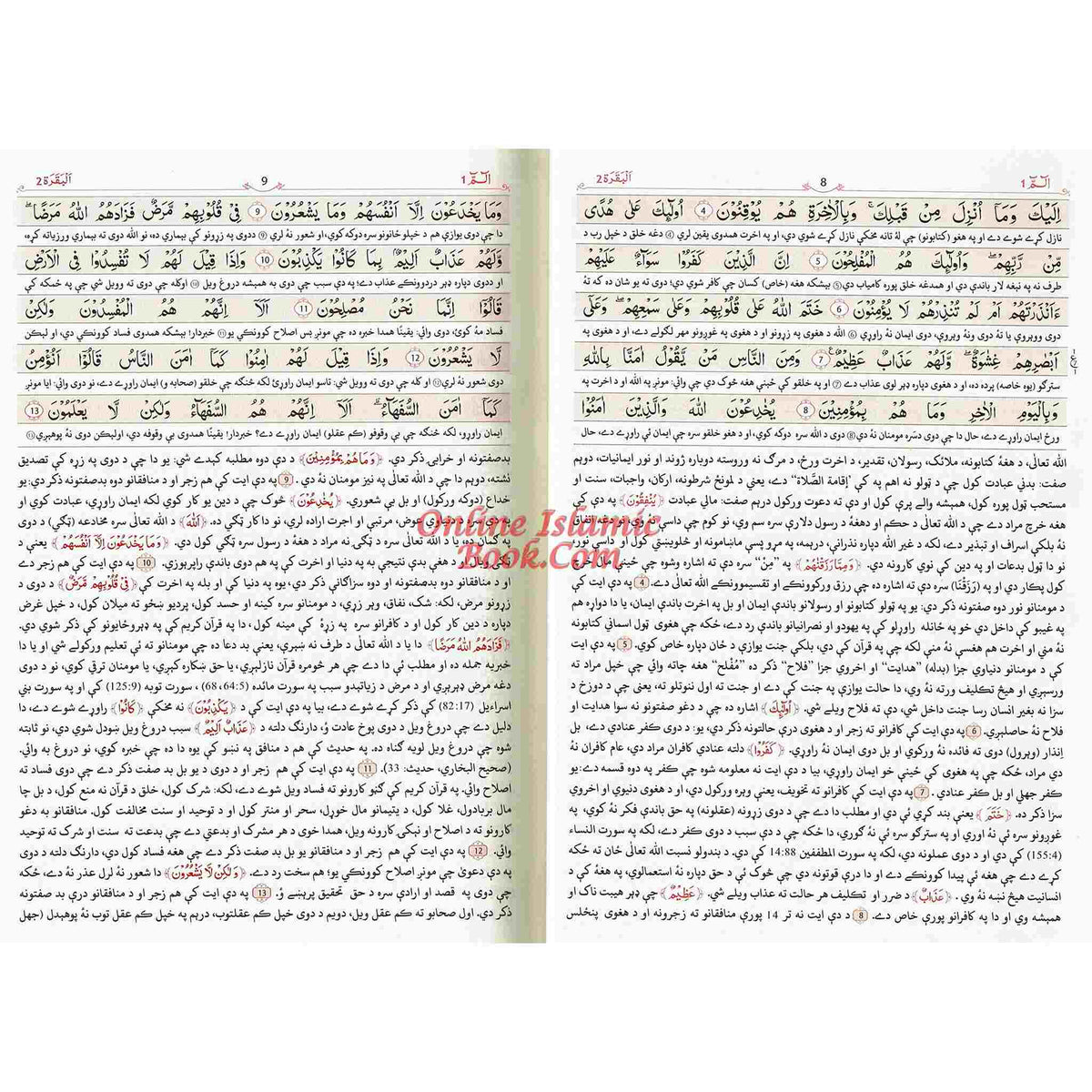 Quran in Pashto Language Tafseer Quran Kareem Pashto and Arabic Hardcover
ISBN: 9782987465775