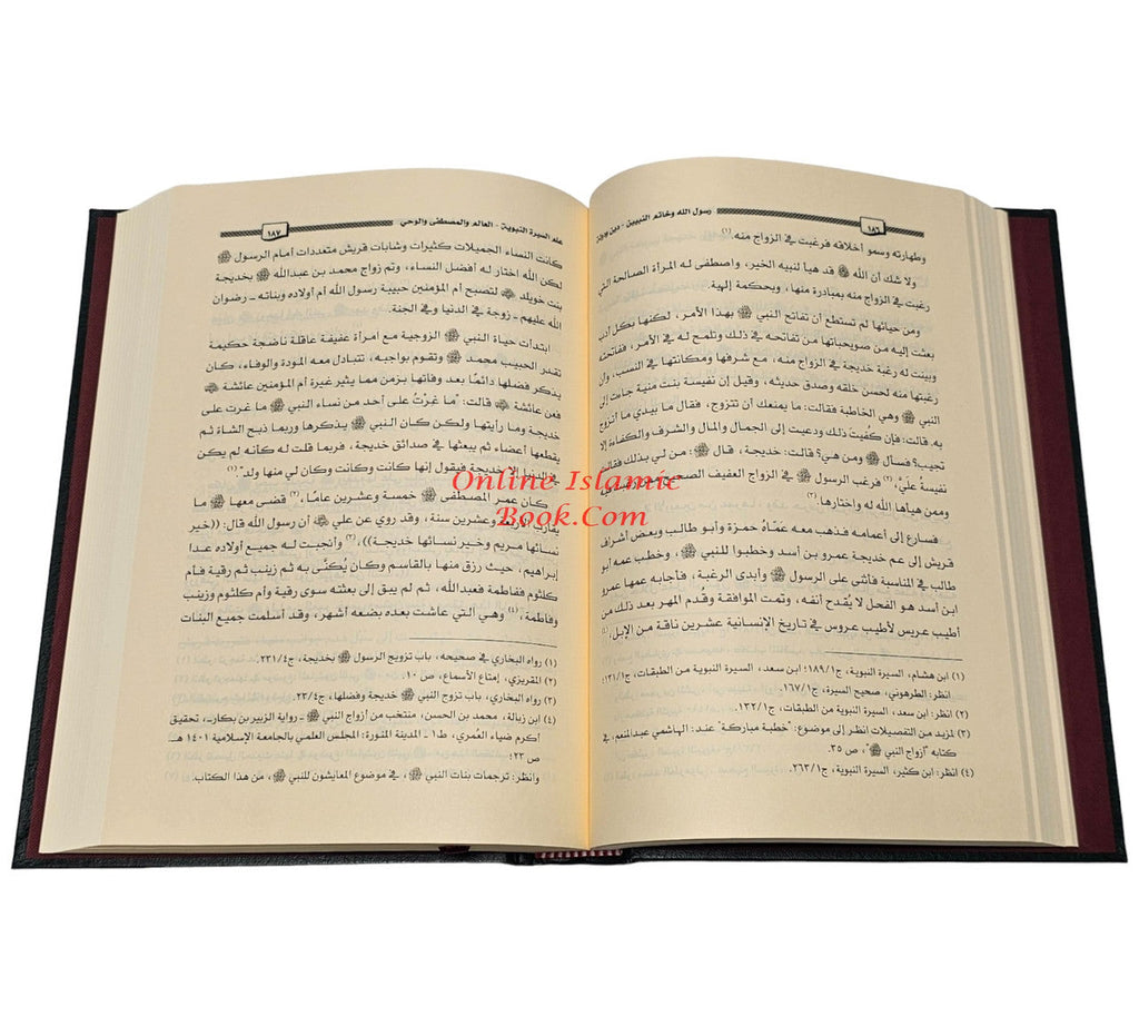 Rasulullah wa Khaatamun Nabiyeen,Deen wa Dolat,9786030398669,