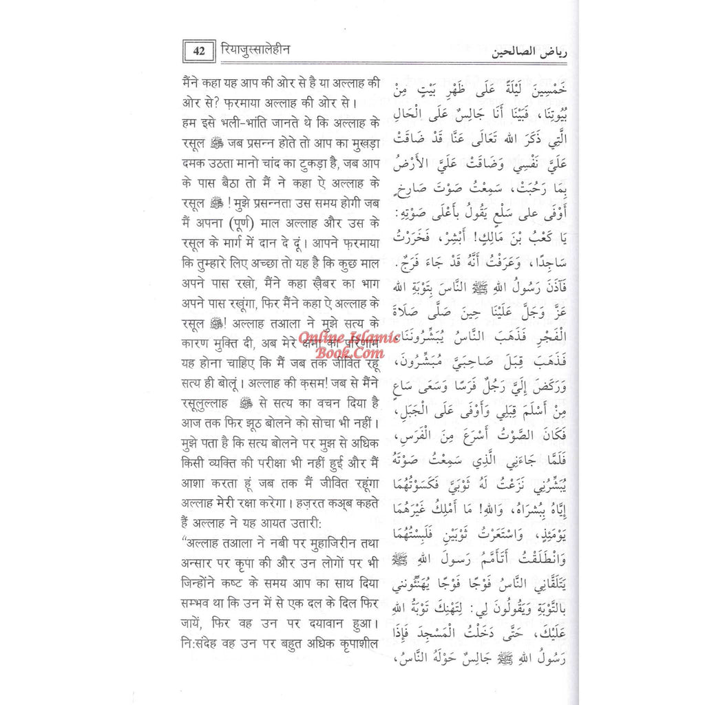 Riyad us-Saliheen Hindi