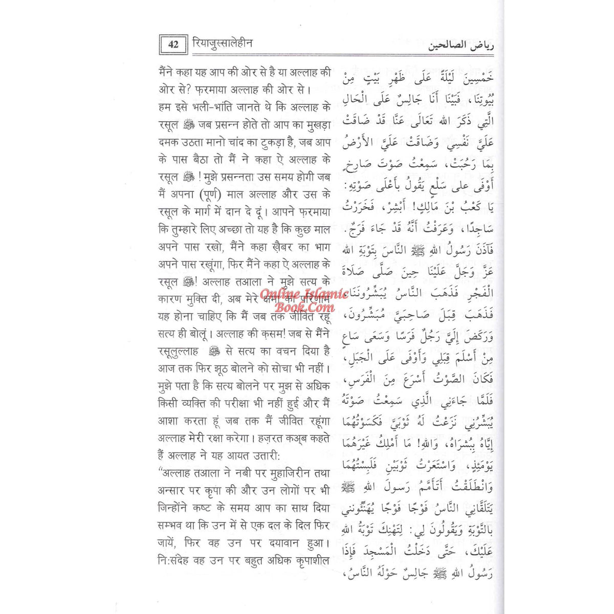 Riyad us-Saliheen Hindi