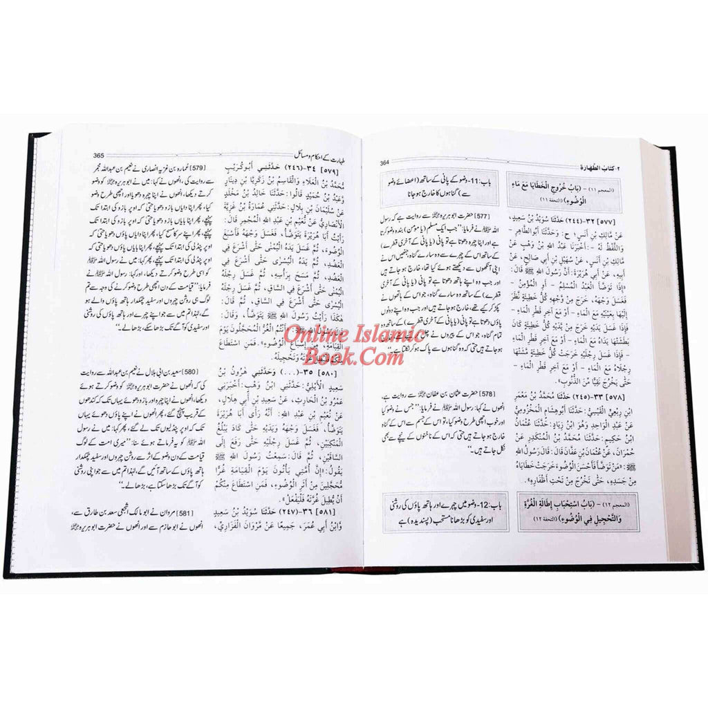 Sahih Muslim Urdu (5 Vol Set) By Imam Muslim Ibn Al-Hajjaj