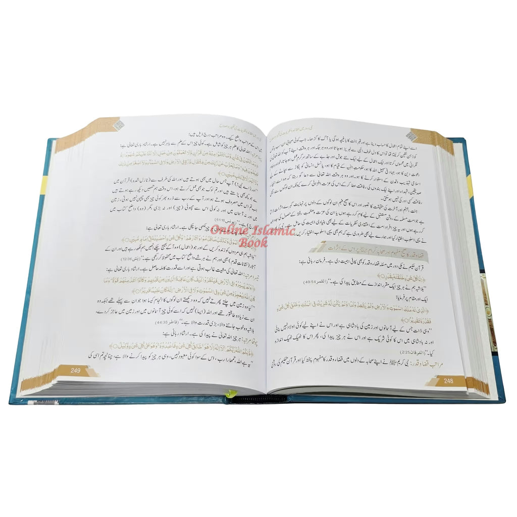 Seerat-un-Nabi (PBUH) 2 Vols. Set by Dr. Ali Muhammad Sallabi (Large Size)