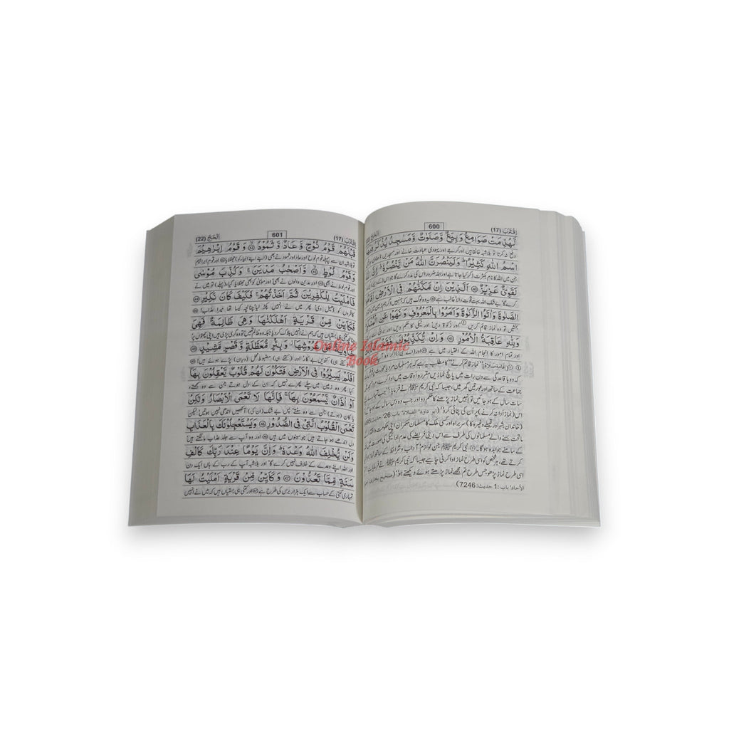 Tafseer Ahsan-ul-Kalam Quran Arabic with Urdu Language Translation (Pocket Plus size) By Dr. Muhammad Muhsin Khan,9782987459941