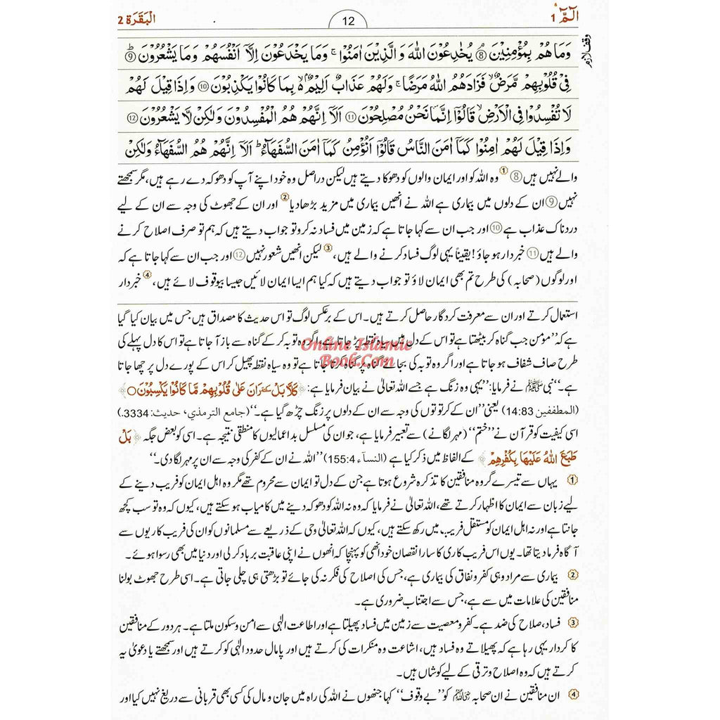 Tafseer Ahsan-ul-bayan By Hafiz Salah-ud-Din Yousaf (Arabic/Urdu) Large Size&nbsp;