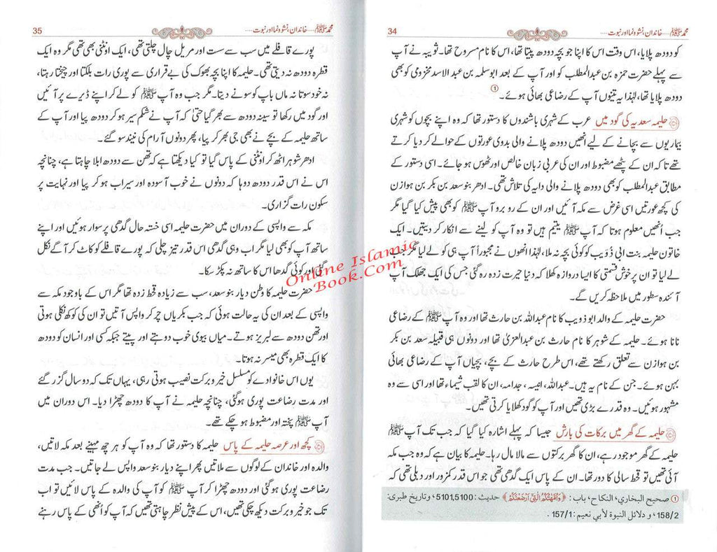 Tajalliyat-e- Nabuwat (Urdu Language) By Maulana Safi-Ur-Rehman Mubarakpuri,9789695740293,