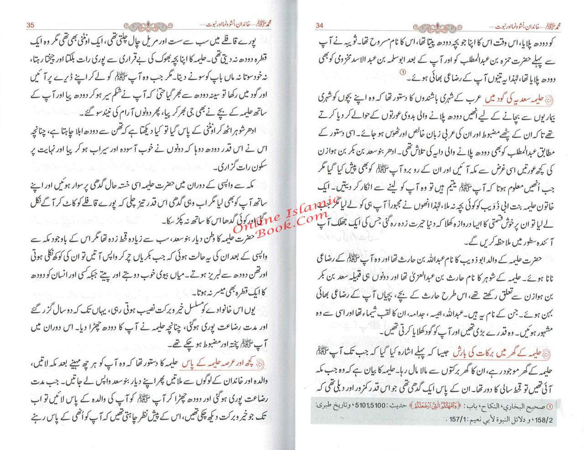 Tajalliyat-e- Nabuwat (Urdu Language) By Maulana Safi-Ur-Rehman Mubarakpuri,9789695740293,