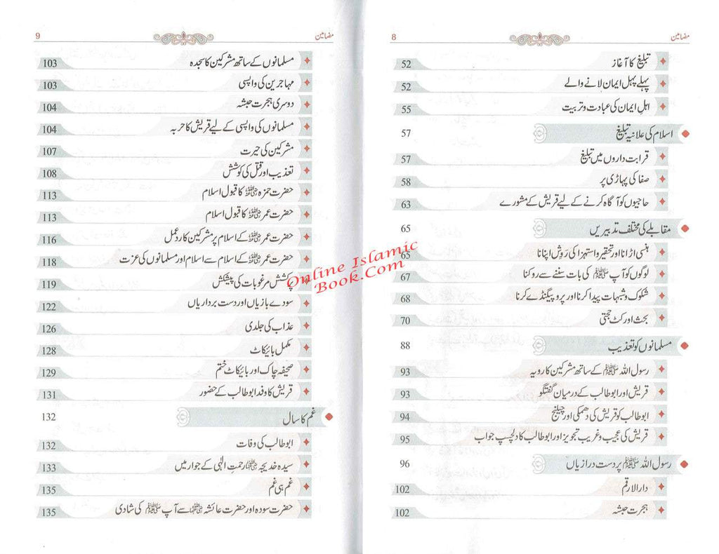 Tajalliyat-e- Nabuwat (Urdu Language) By Maulana Safi-Ur-Rehman Mubarakpuri,9789695740293,