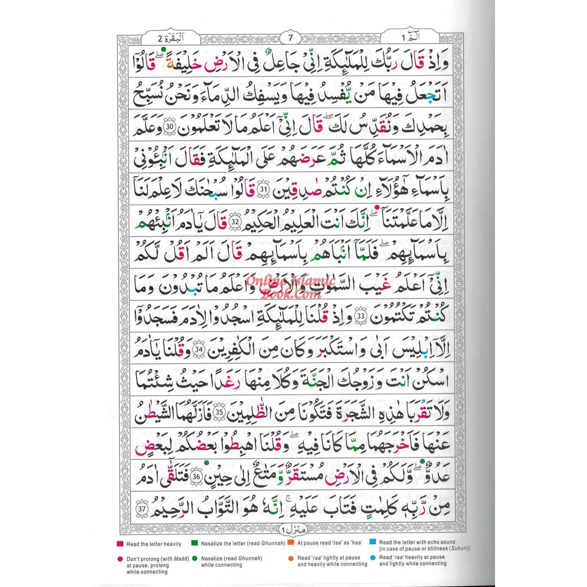 Tajweed Quran persian, Urdu & Southafrican Script with 15 Lines Ref 213 Binding: Hardcover