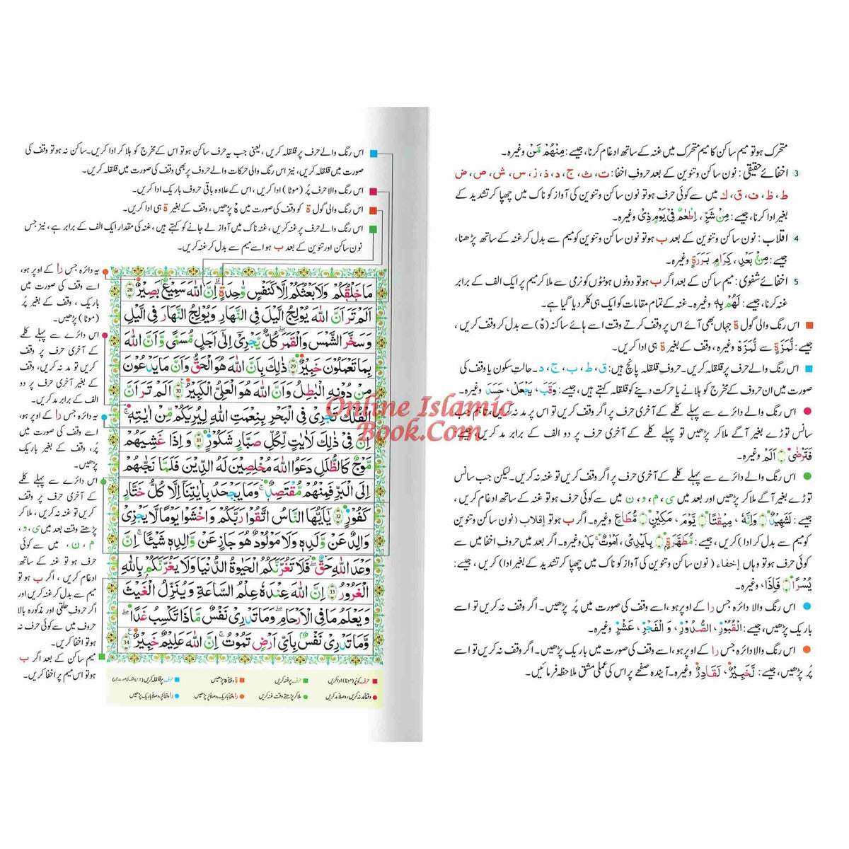 Tajweedi Quran with Urdu Tajweed Rules 16 Lines 8.5 x 6.0 Inch (7B) Hafzi Tajweedi, Medium Size,Standard Print
Beautiful full color 16-line Indo-Pak/Persian script Tajweed Qur'an