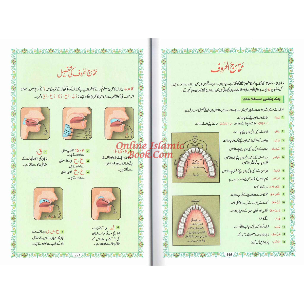 Tajweedi Quran with Urdu Tajweed Rules 16 Lines 8.5 x 6.0 Inch (7B) Hafzi Tajweedi, Medium Size,Standard Print
Beautiful full color 16-line Indo-Pak/Persian script Tajweed Qur'an