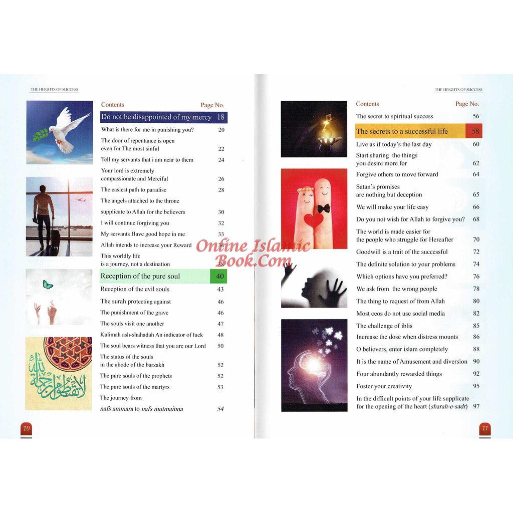 The Heights of Success by Syed Taj Ahmed
ISBN:9786039177272