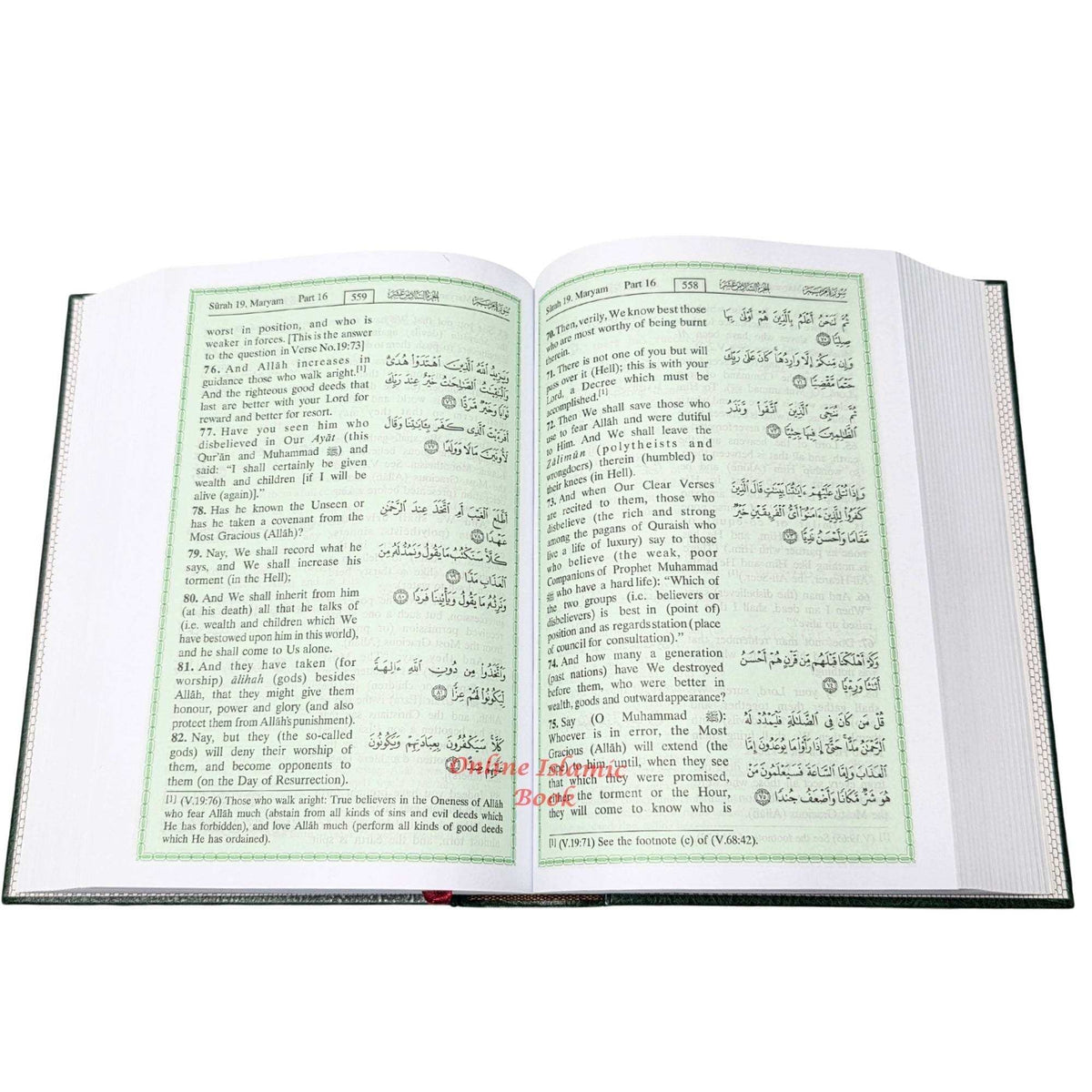The Noble Quran Arabic and English
