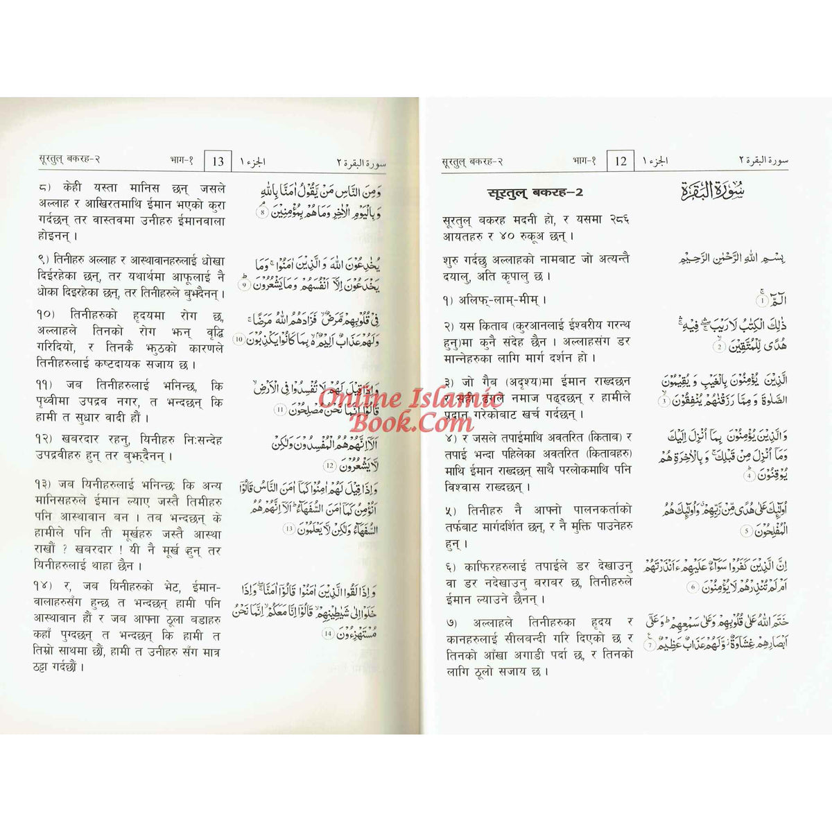 The Noble Quran with Nepali Translation by Darussalam