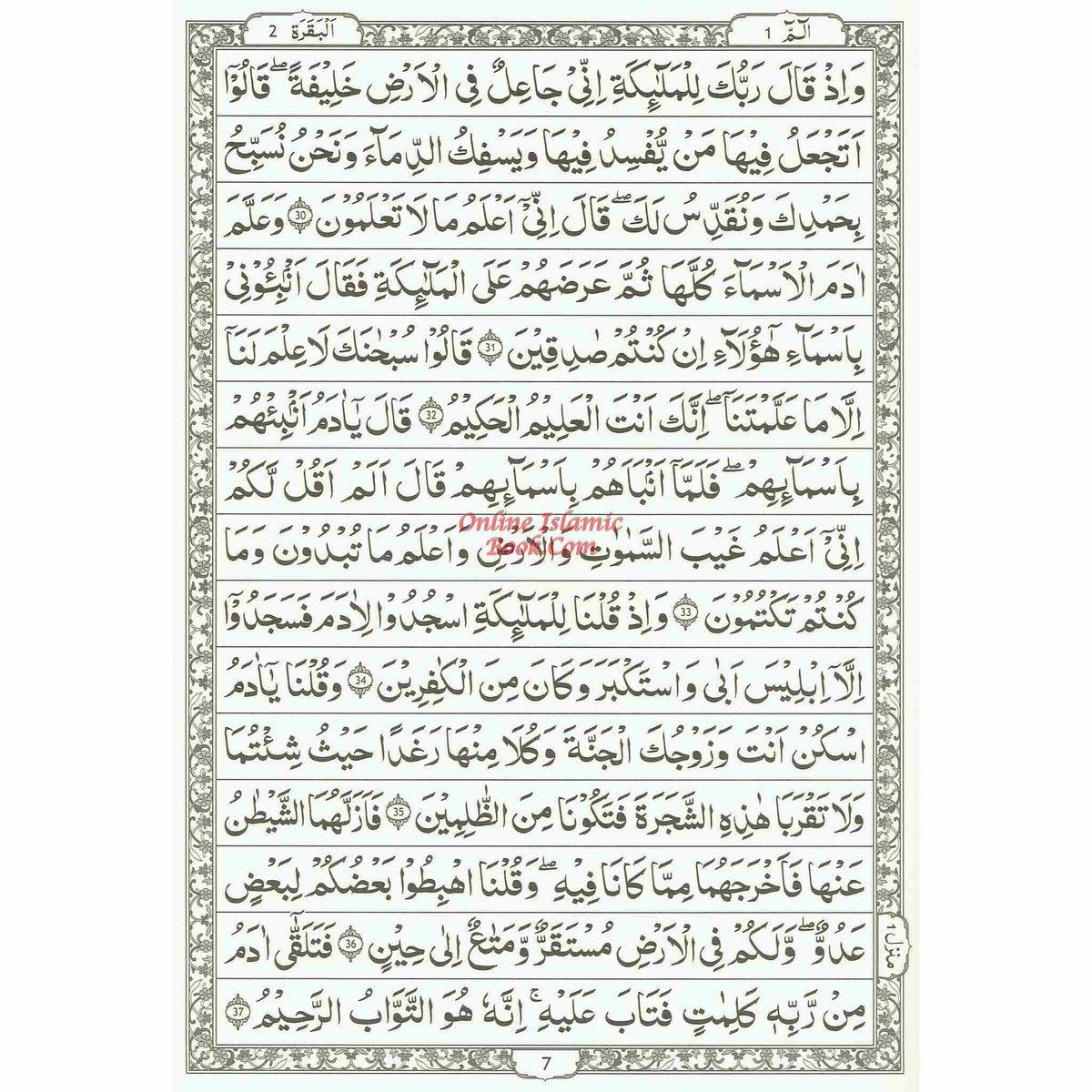 The Quran Arabic Only , 15 Lines Pakistani / Indian/ Persian Script (Size XL, 13.5 x 10 x 1.3 Inch) (Ref 211)
ISBN: 9789383226863